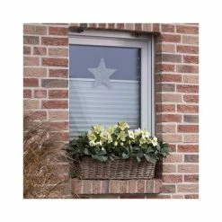 2ft Helleborus 'Ice Breaker® Max' | 4.5L Pot | Helleborus Gold Collection® 9 2ft Helleborus 'Ice Breaker® Max' | 4.5L Pot | Helleborus Gold Collection® -Pot Shop PL52011 add image 2 7a98