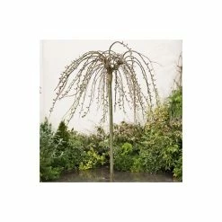 Salix caprea 'Kilmarnock' | Willow Tree -Pot Shop TR0194 add image 4 13d8